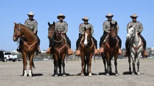 Exclusive: Trump Admin Uses Spy Satellites on US-Mexico Border